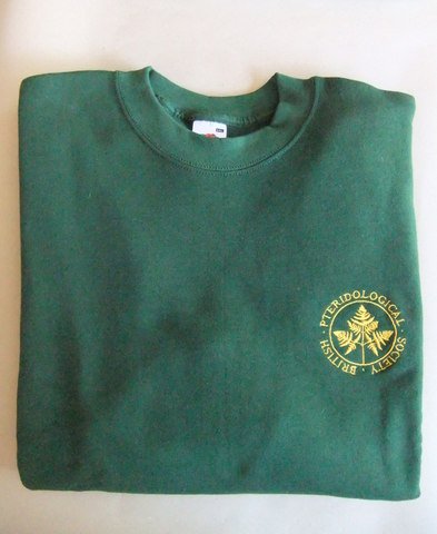 5. sweatshirt