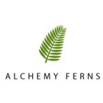 alchemy logo