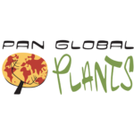 panglobal logo